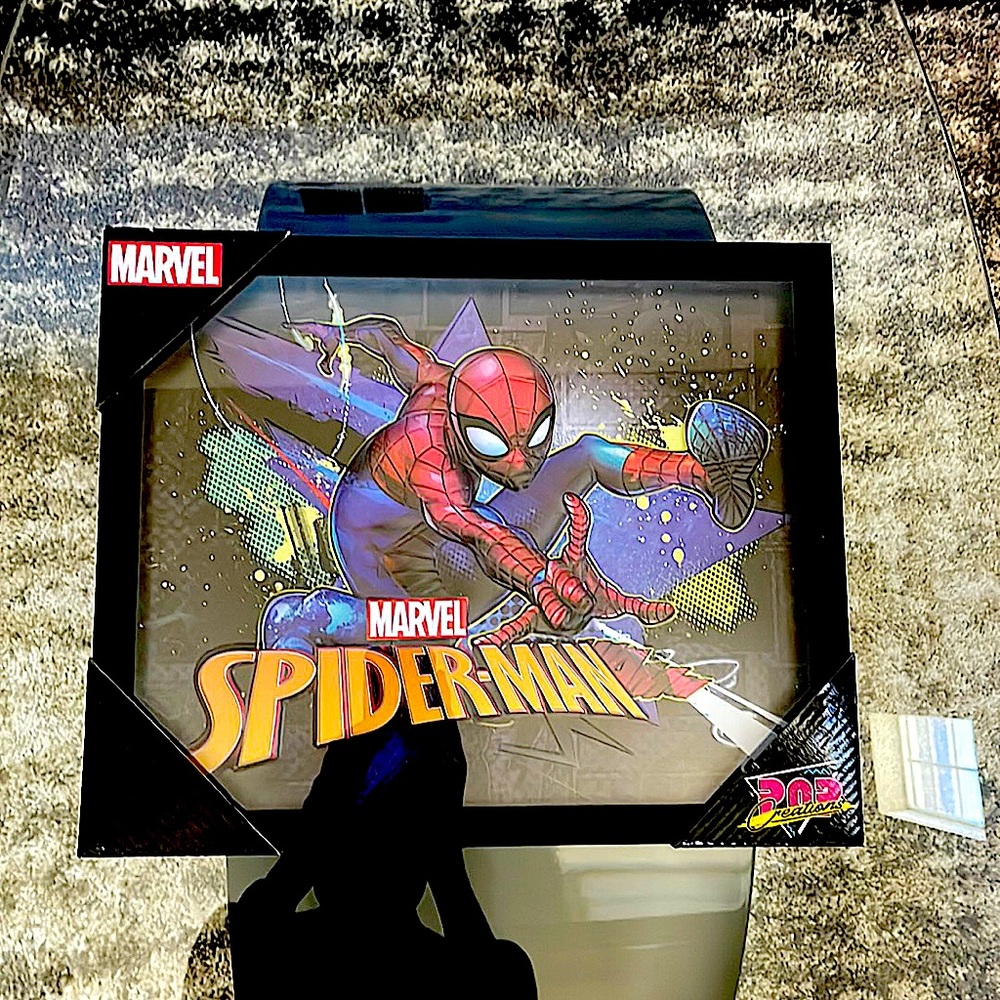 Spider-Man 15.5 in x 12.5 in Framed Picture